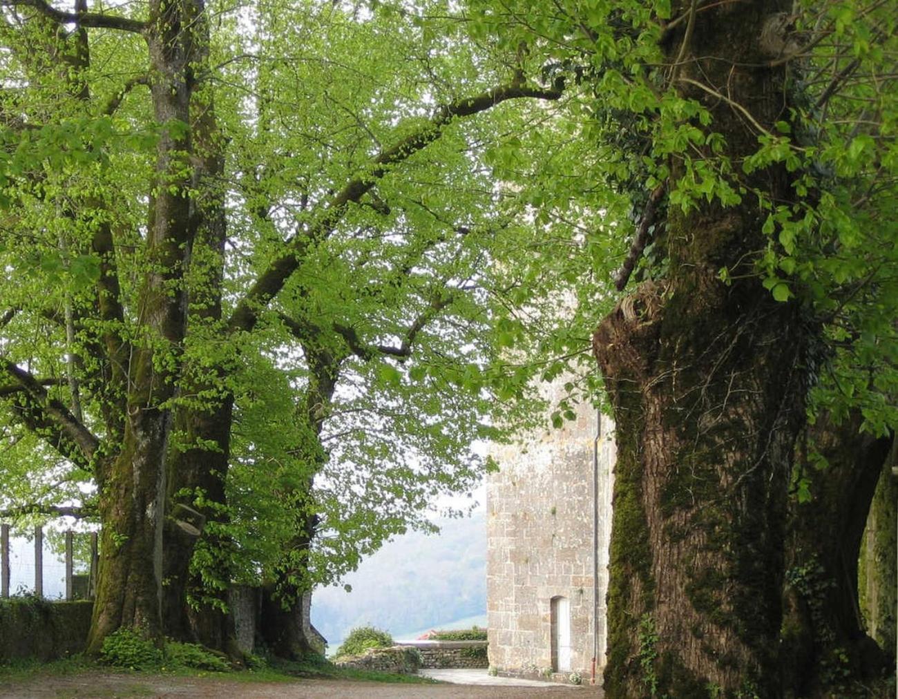 Bevau - B&B Bio Trampot Kültér fotó
